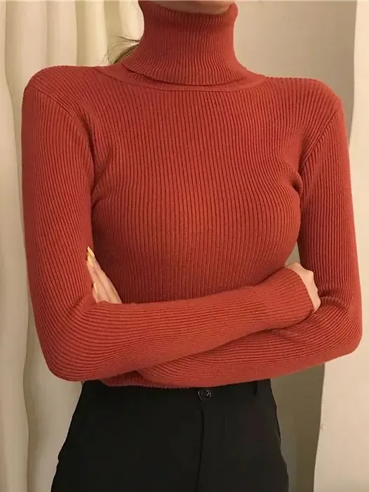 cold weather outfits Joskaa 2024 Autumn Winter Women Fall Turtleneck Sweater Knitted Soft Pullovers Cashmere Jumpers Basic Soft Sweaters For Women