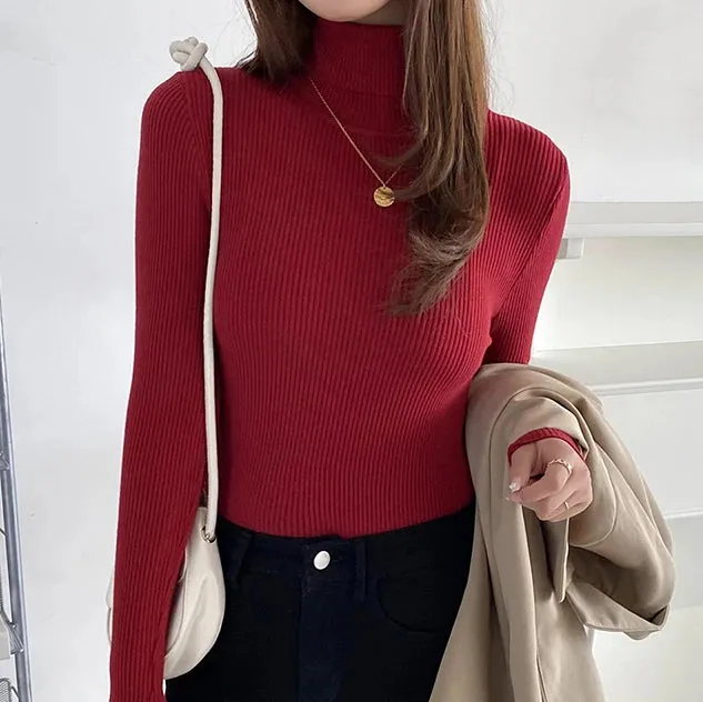 cold weather outfits Joskaa 2024 Autumn Winter Women Fall Turtleneck Sweater Knitted Soft Pullovers Cashmere Jumpers Basic Soft Sweaters For Women